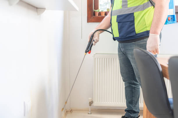 Best Mosquito Control Services  in Dale City, VA